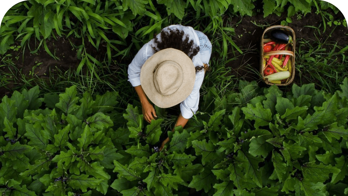 Aroha Organics story